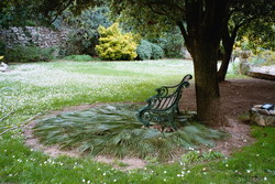 cottage, location, 34, Jardin jardin05_small.jpg