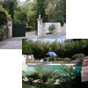 Photos of the garden